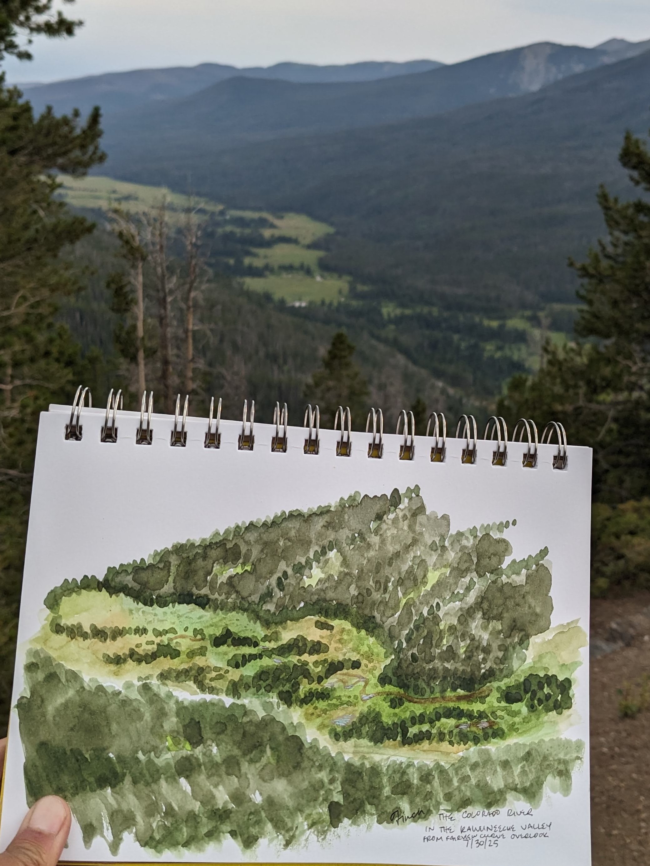 Watercolor of river floodplain in vivid green in foreground, subject matter in background.